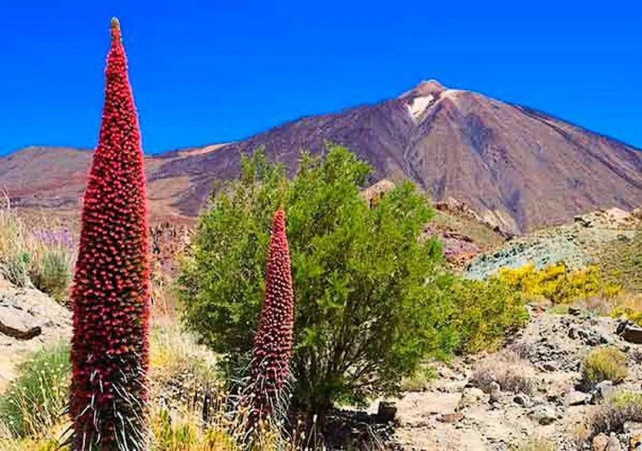 아파트 Casa Tayri De Tamaide Tenerife Sur 산미겔데아보나